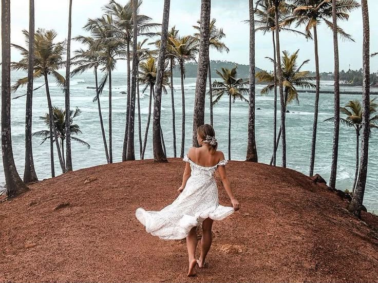 Coconut Tree Hill