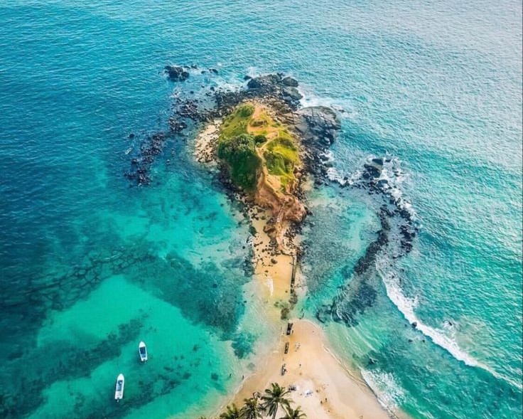 Parrot Rock